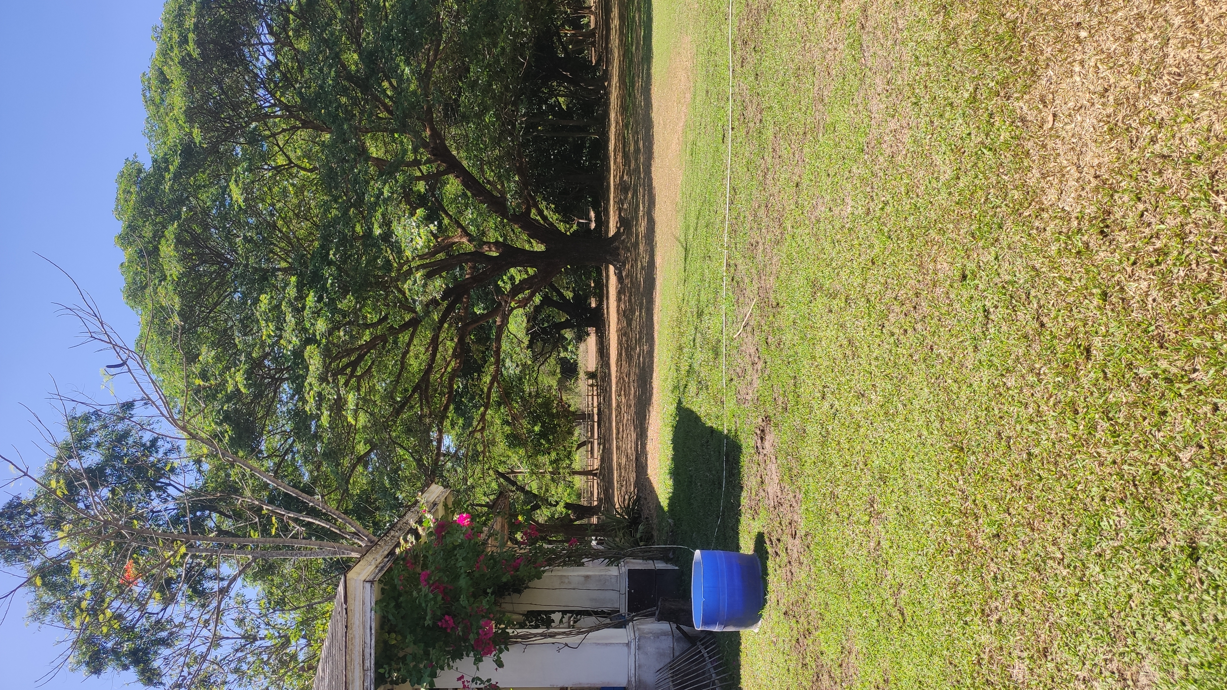IMG 20260502 101921