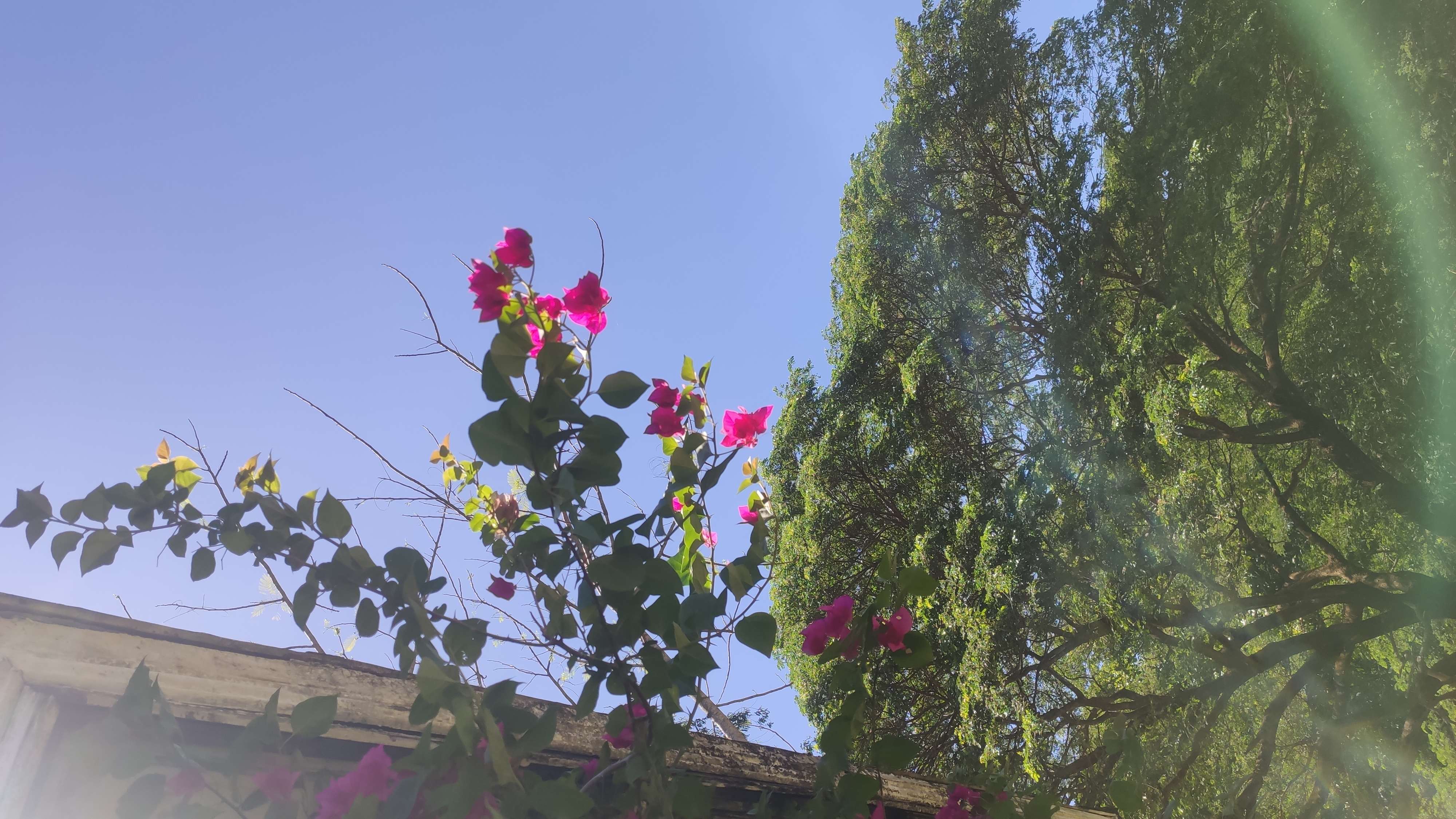 IMG 20260502 101950