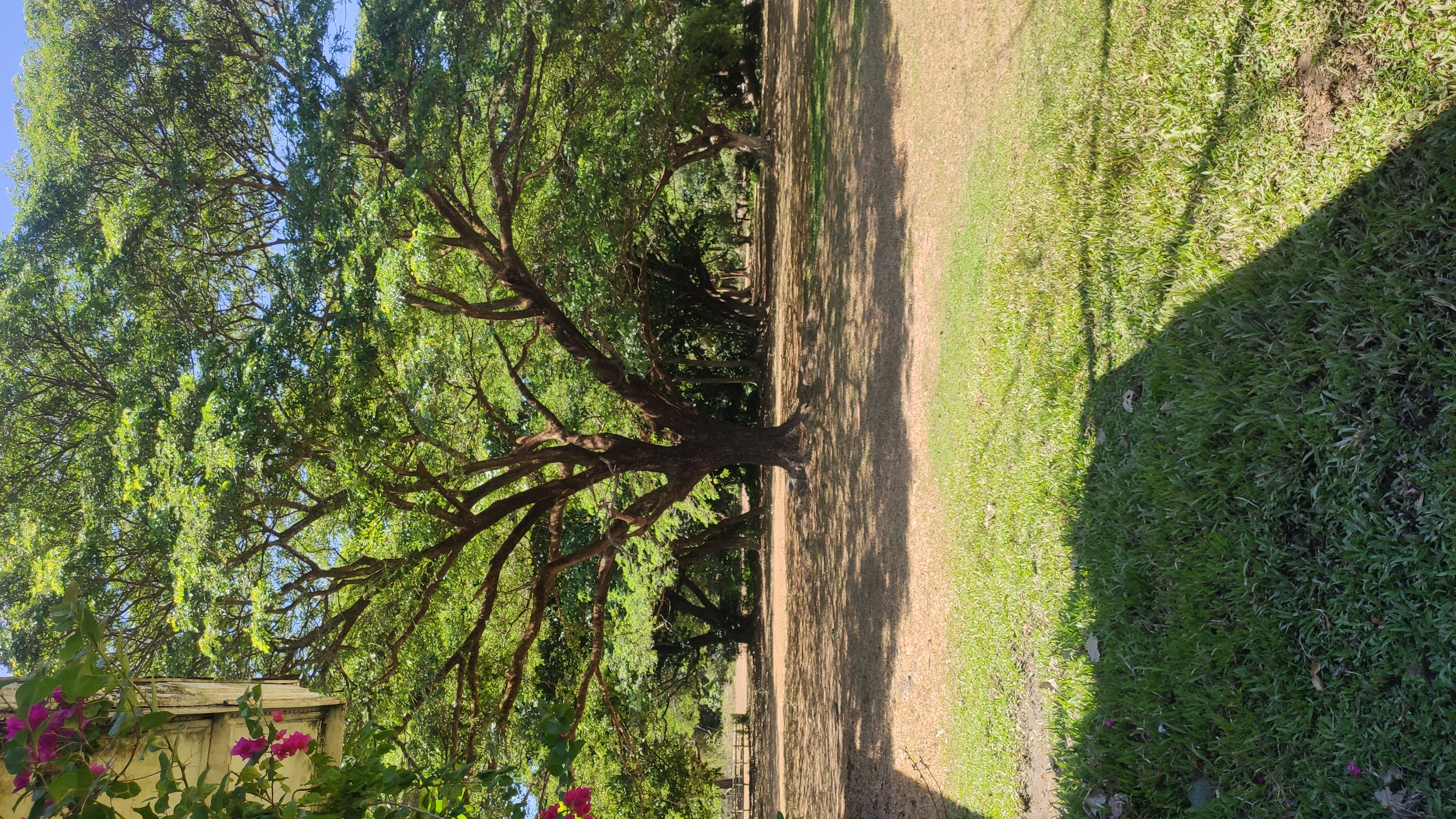 IMG 20260502 102002