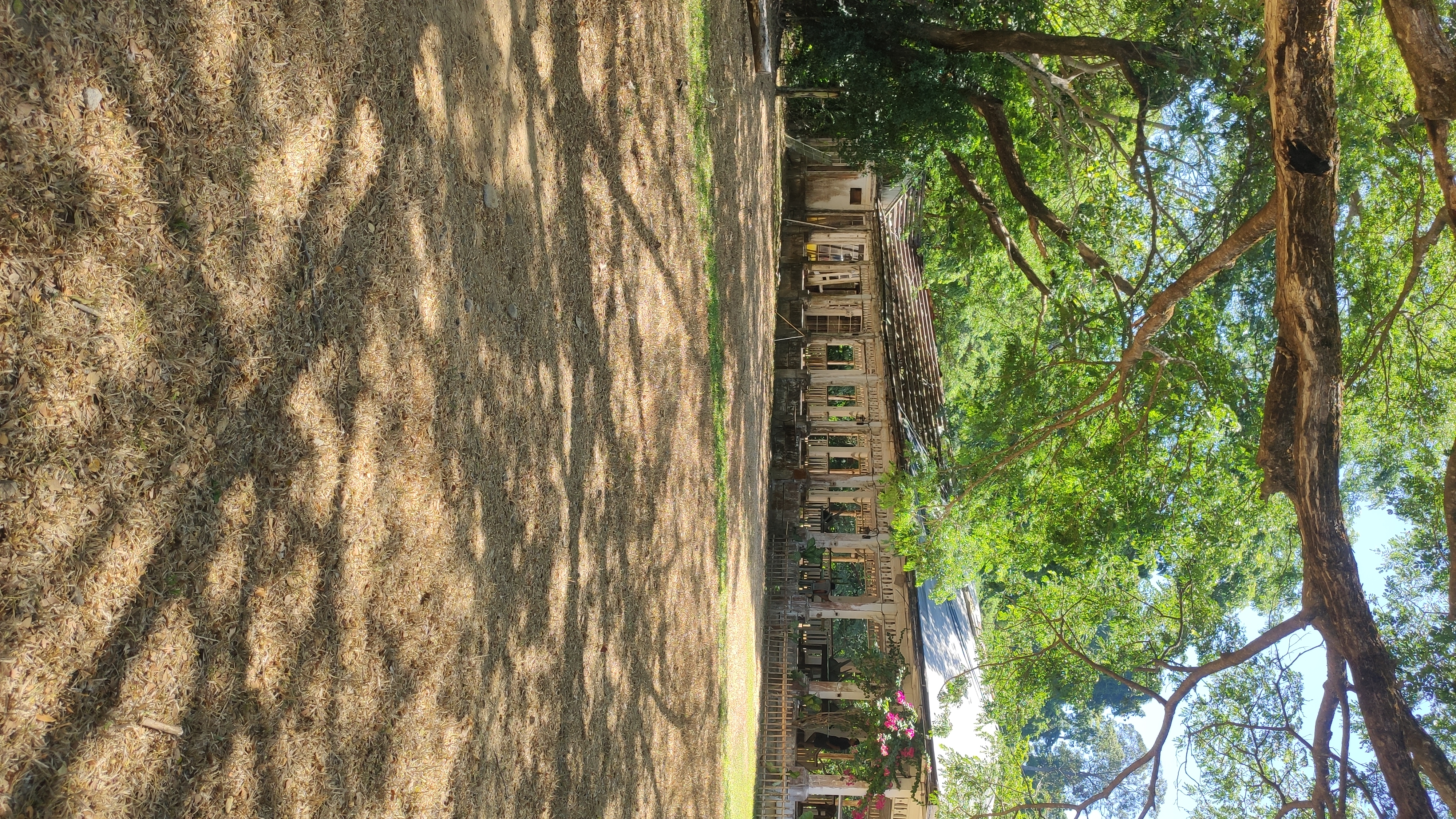 IMG 20260502 102538