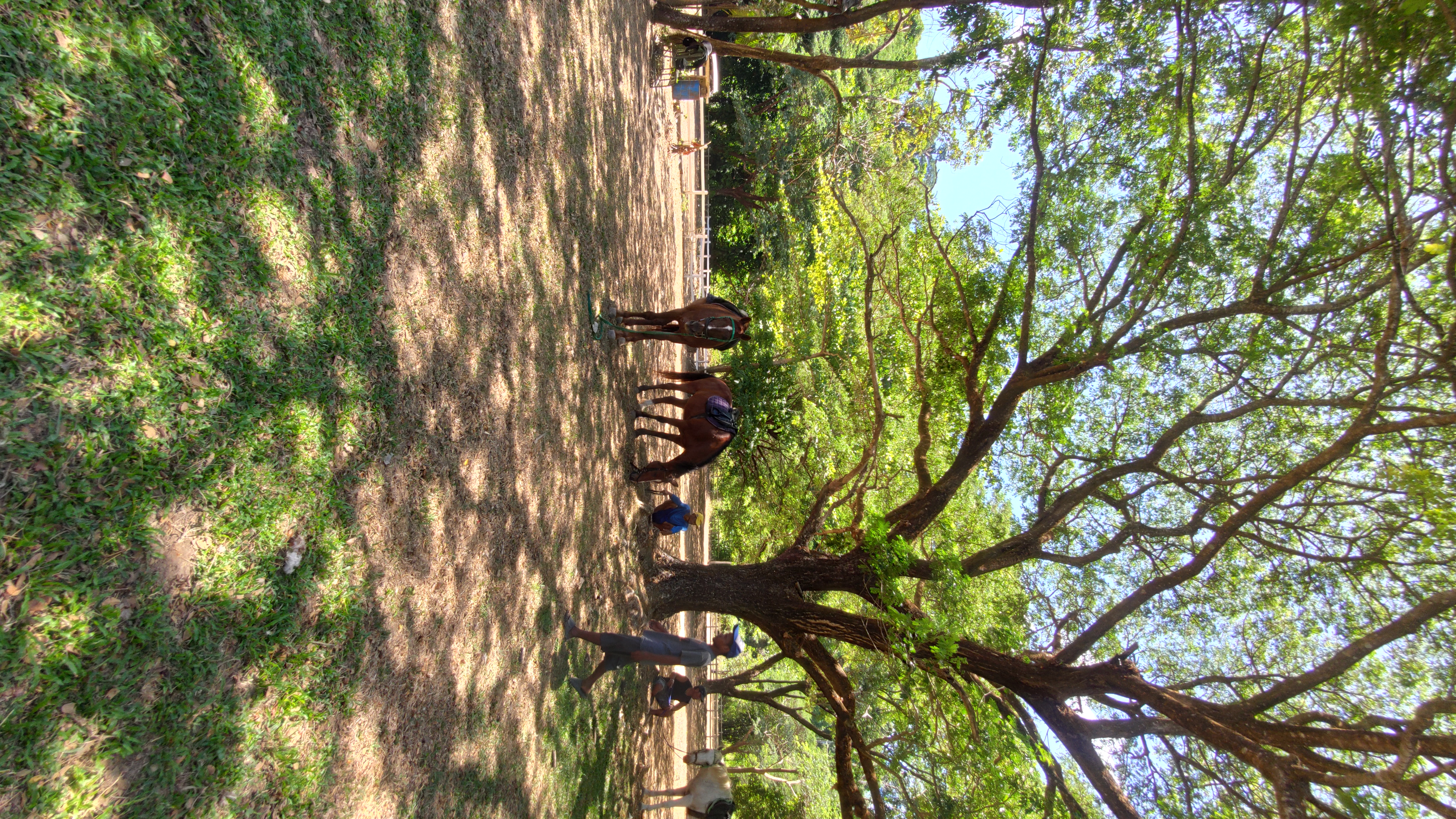 IMG 20260502 104056