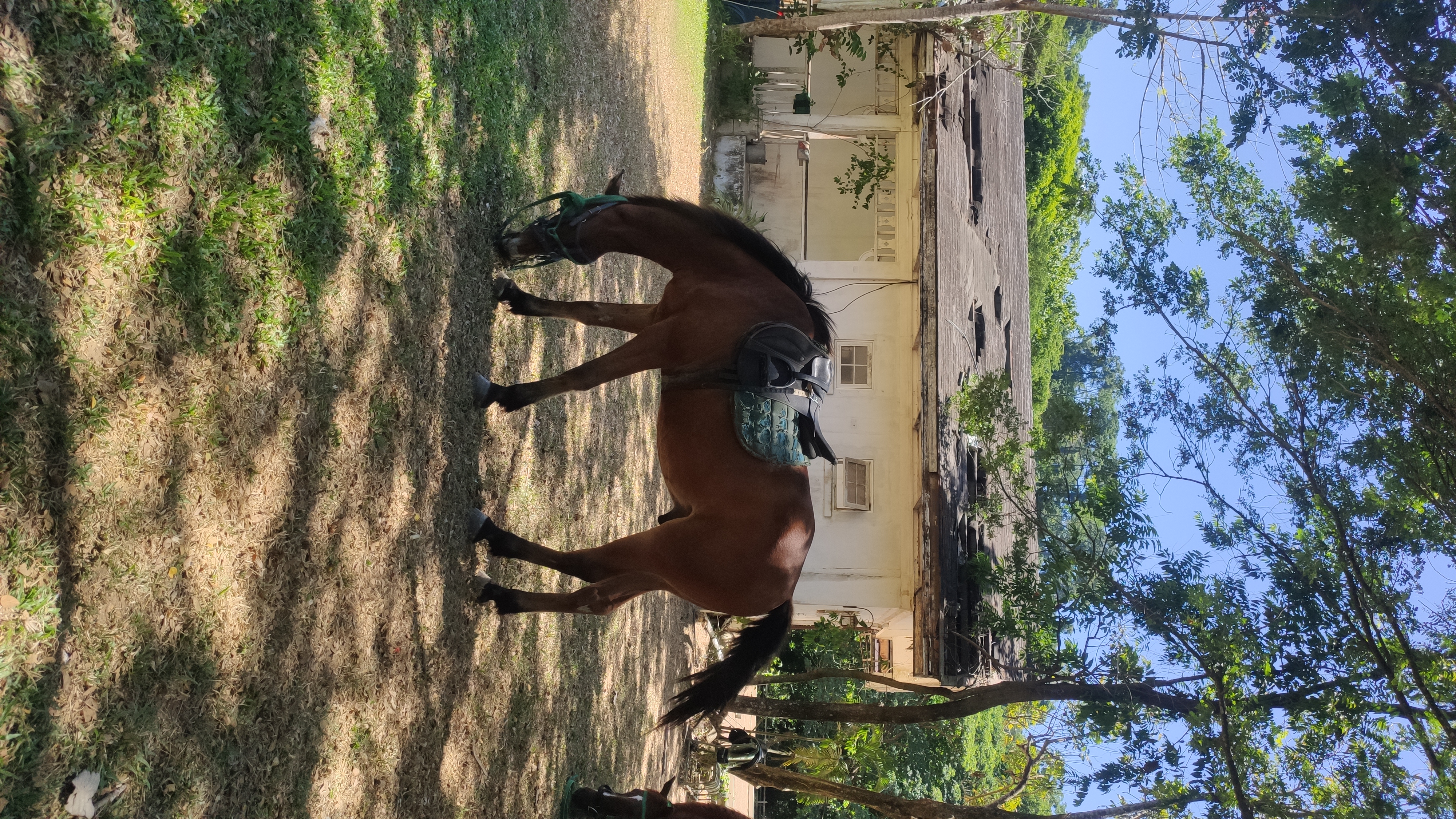 IMG 20260502 104453