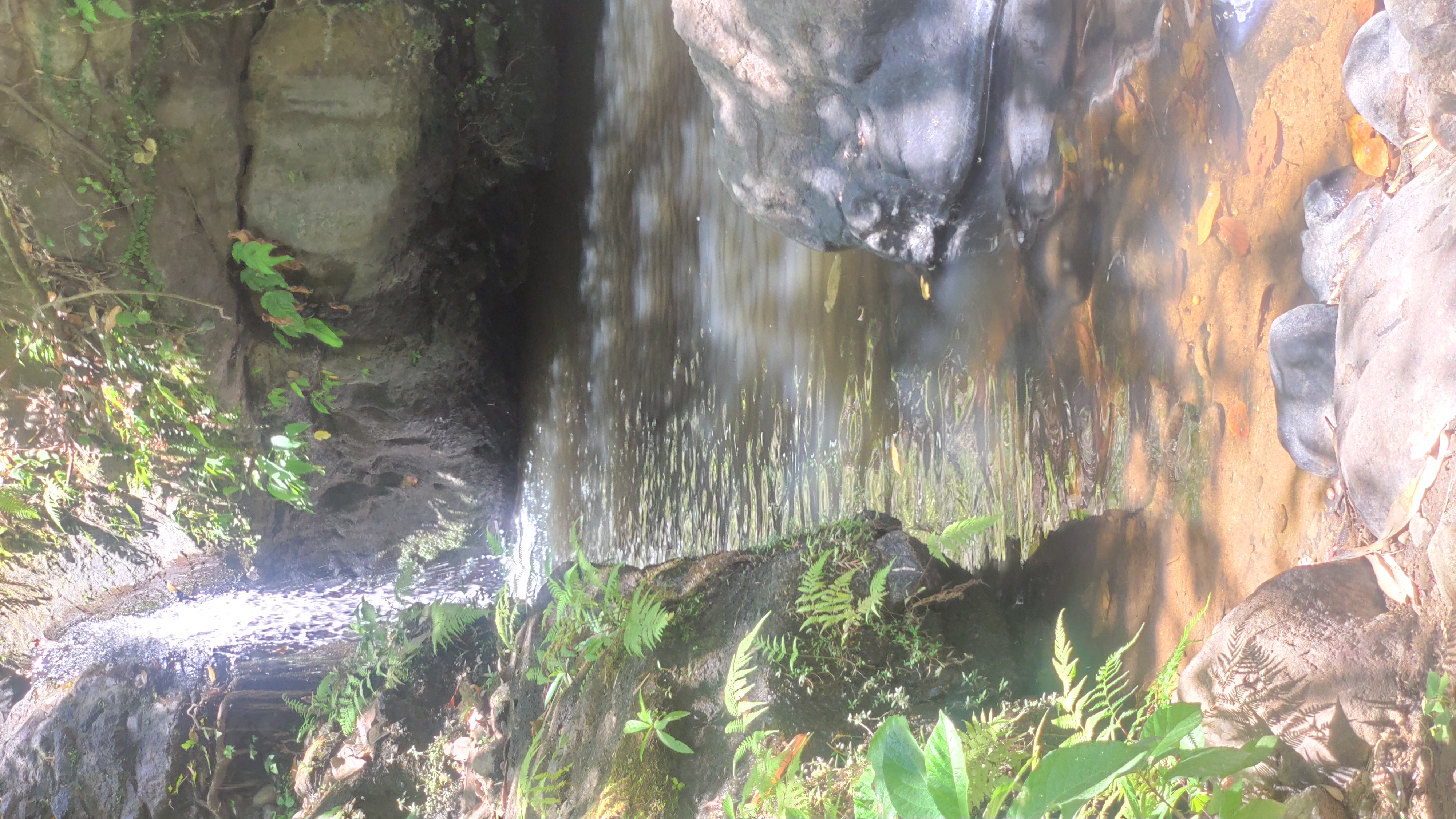 IMG 20260502 113112