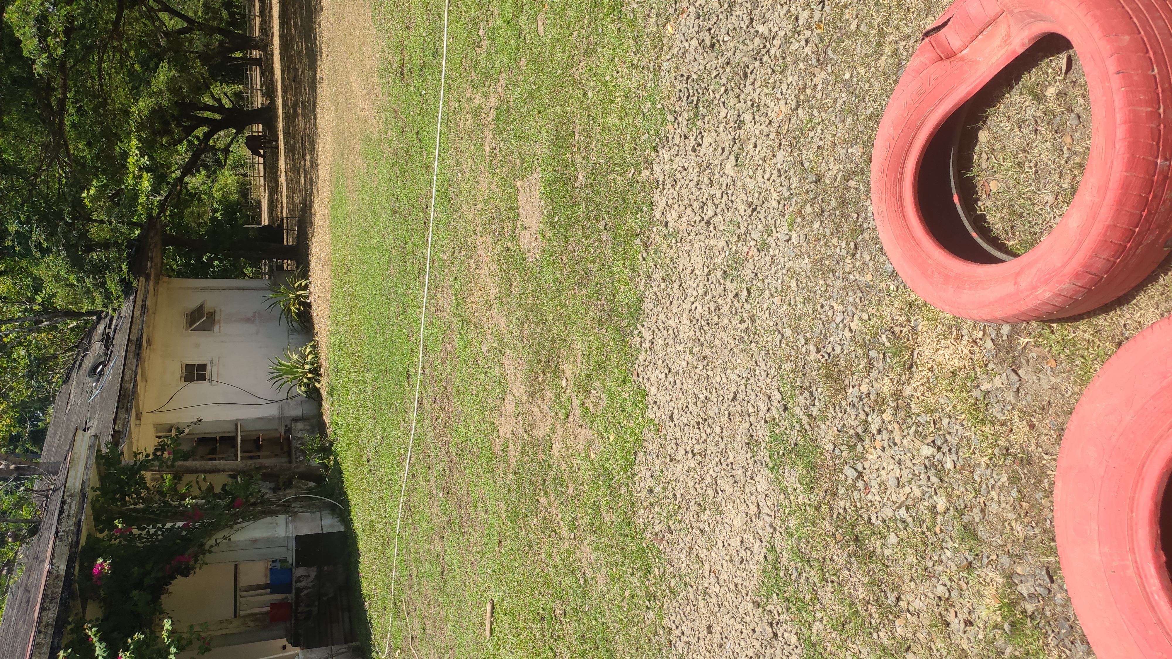IMG 20260502 121328