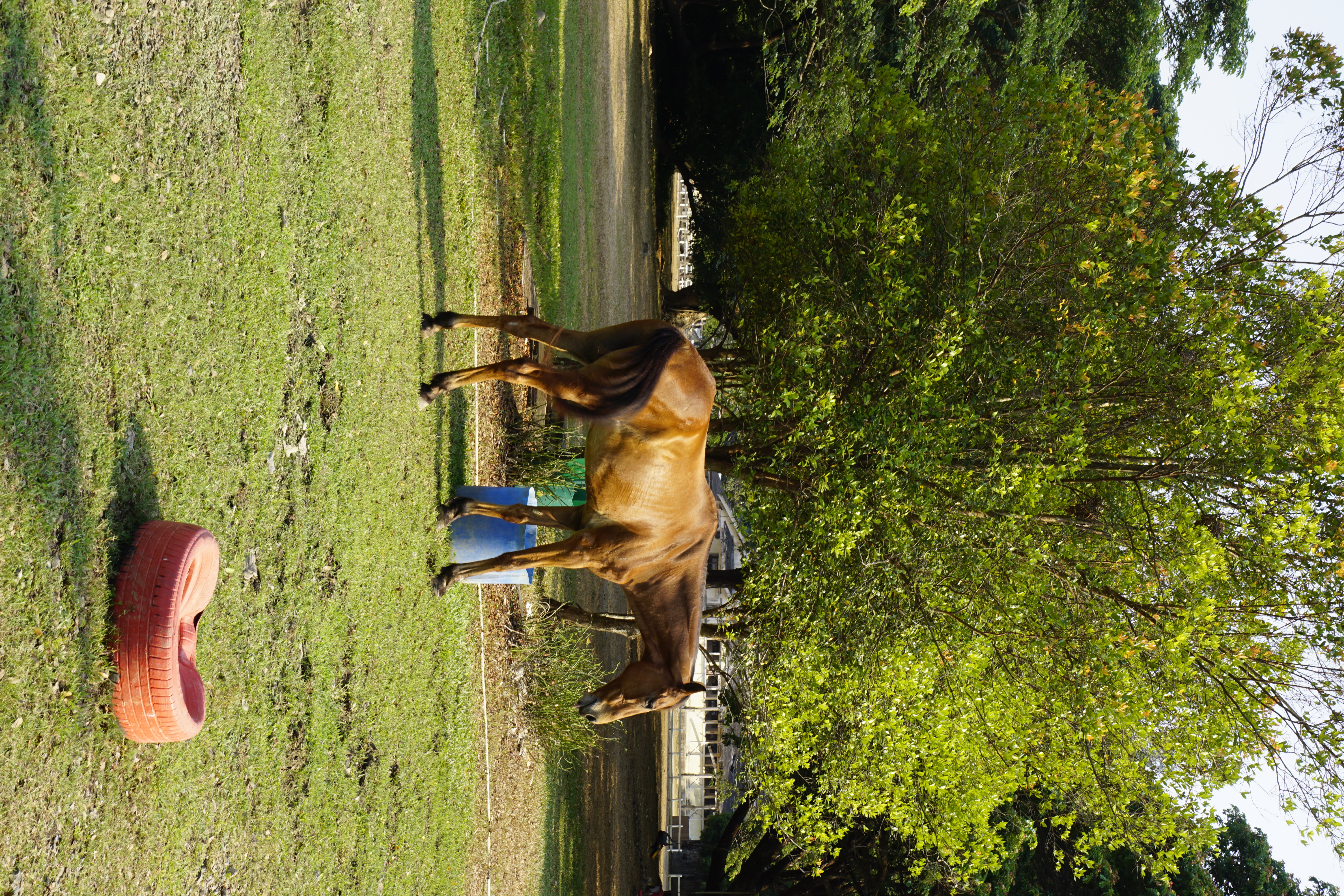 DSC3019