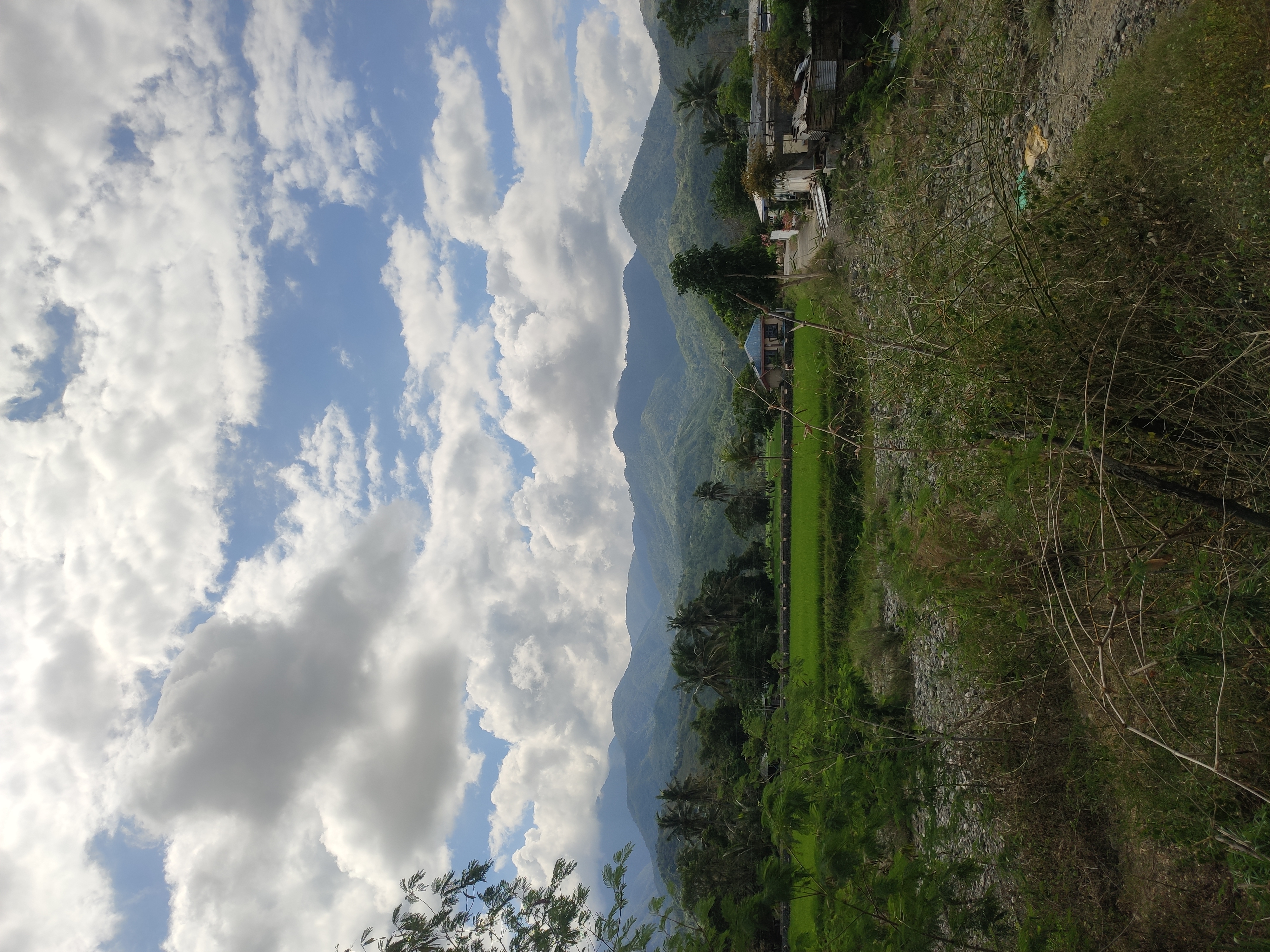 IMG 20260307 100149