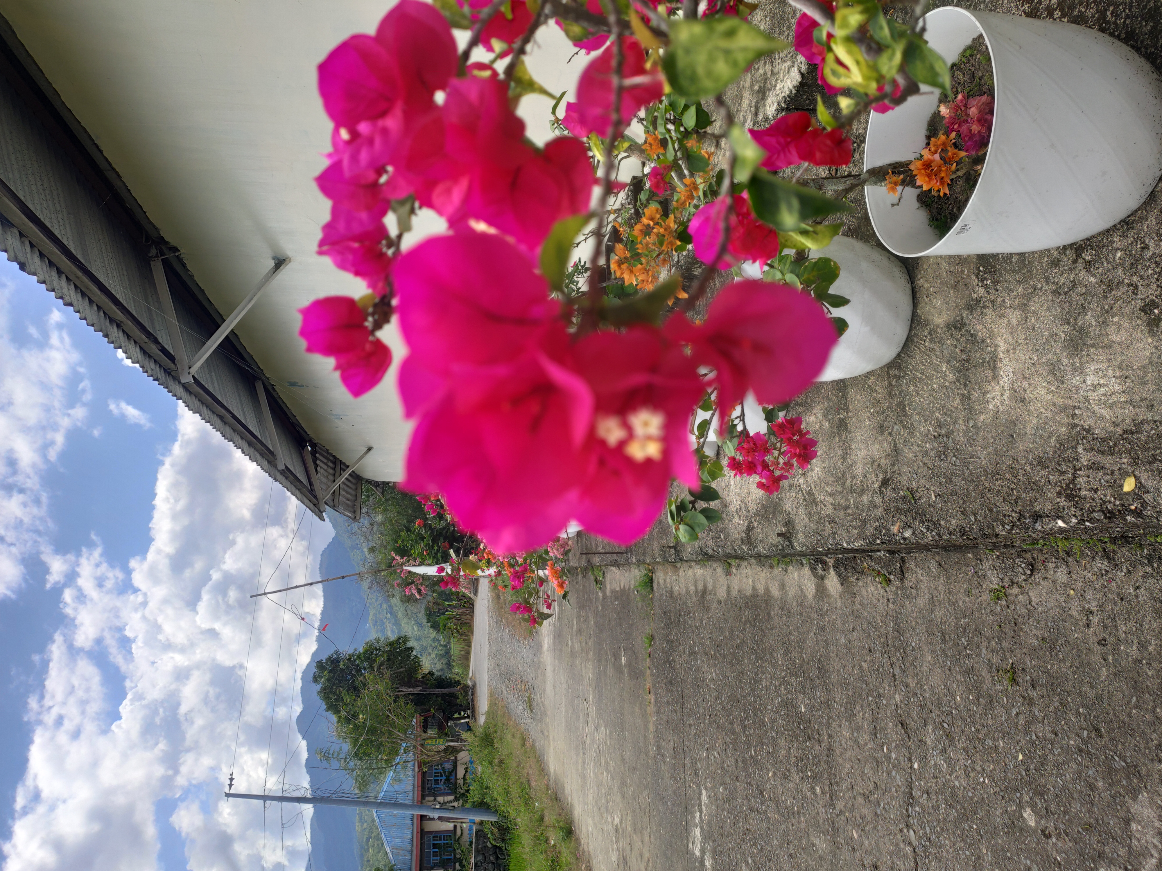 IMG 20260307 101927