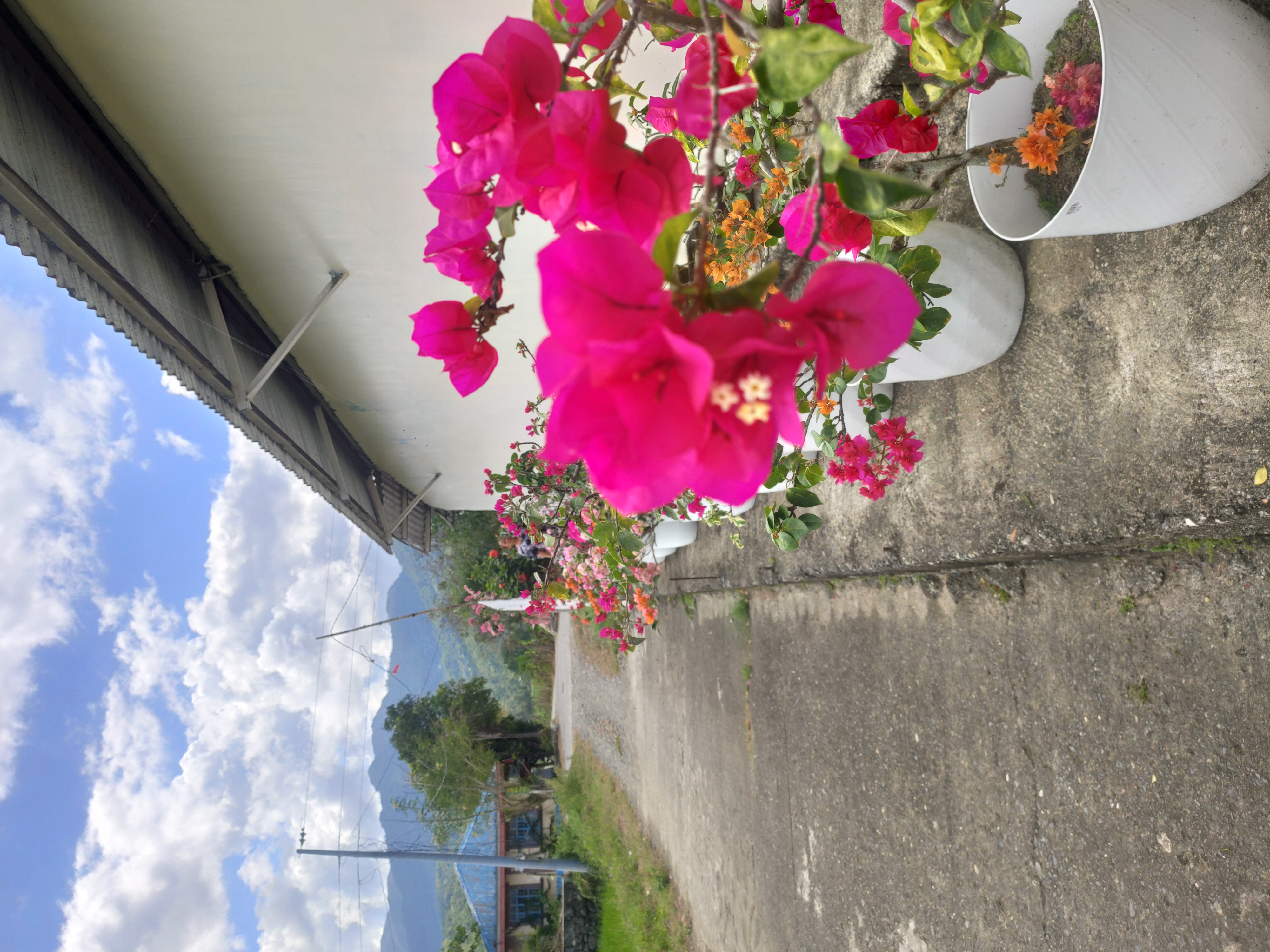 IMG 20260307 101930
