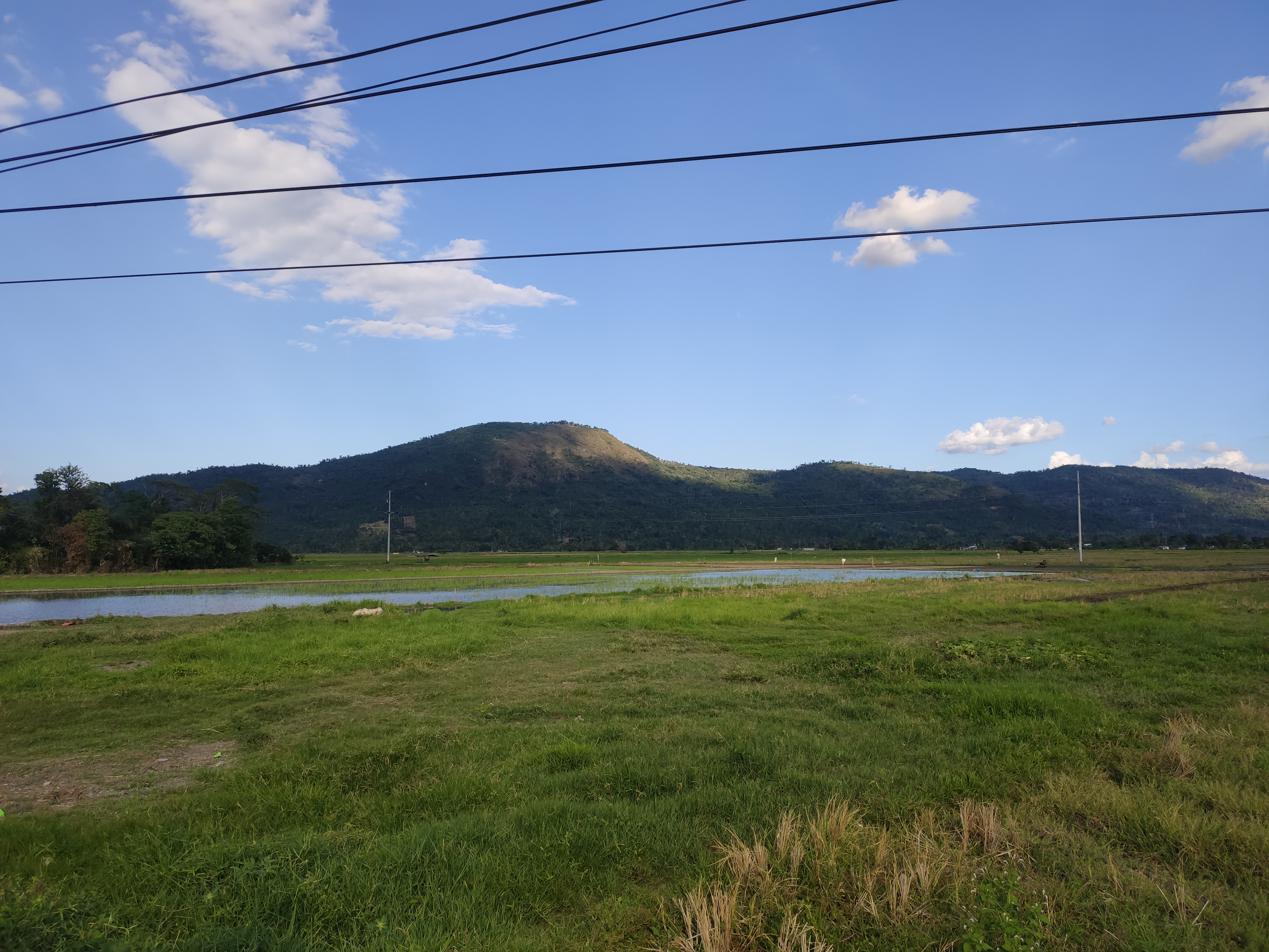 IMG 20260307 161752