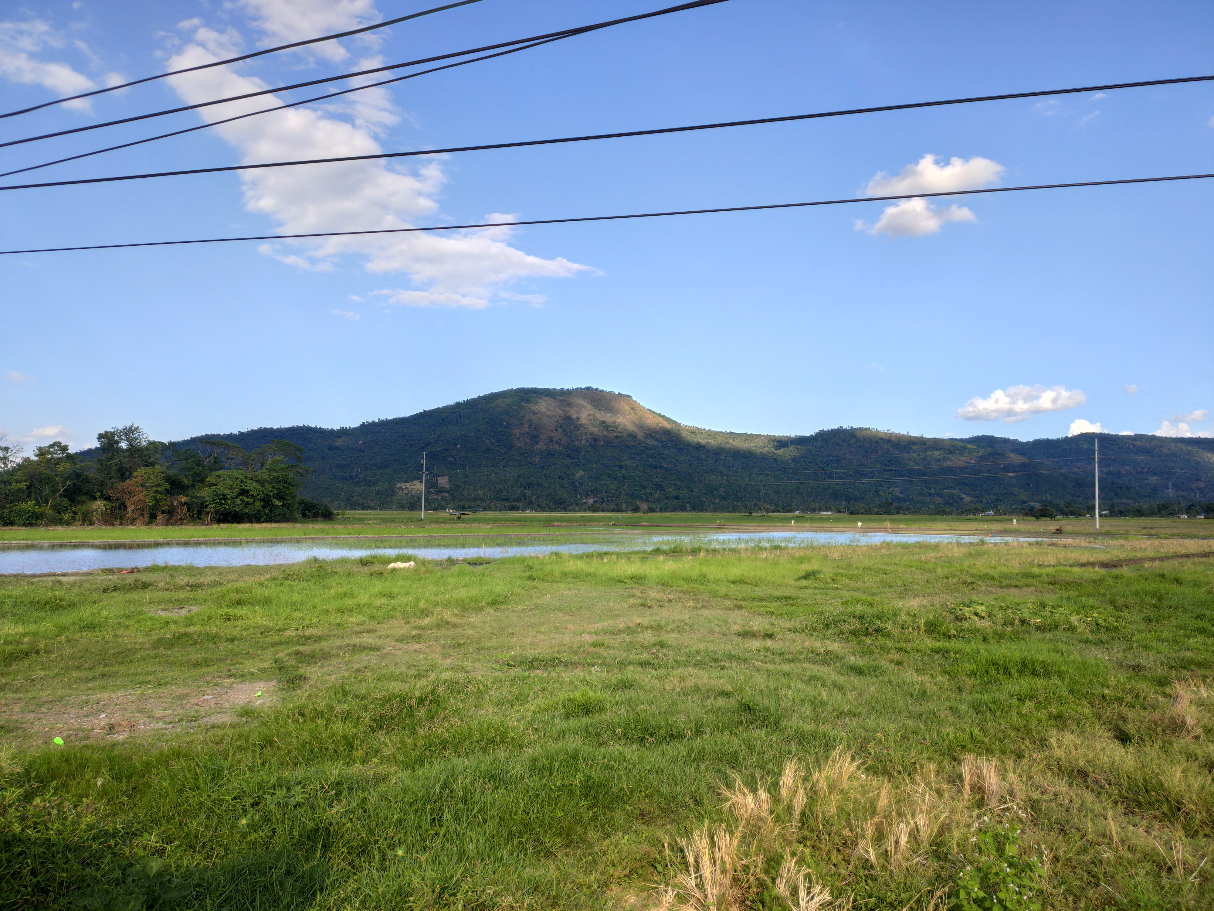 IMG 20260307 161758
