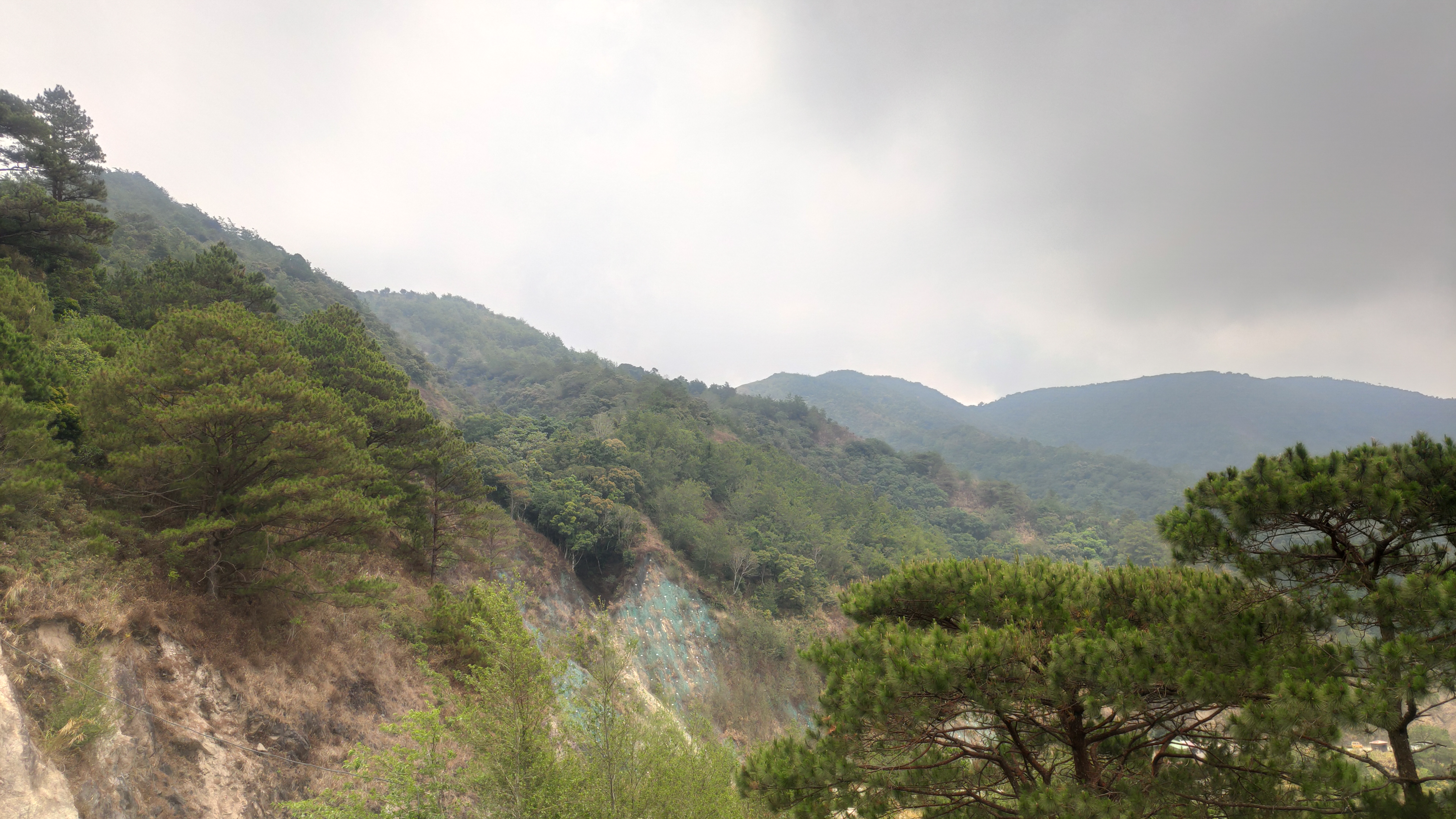 IMG 20260419 115256