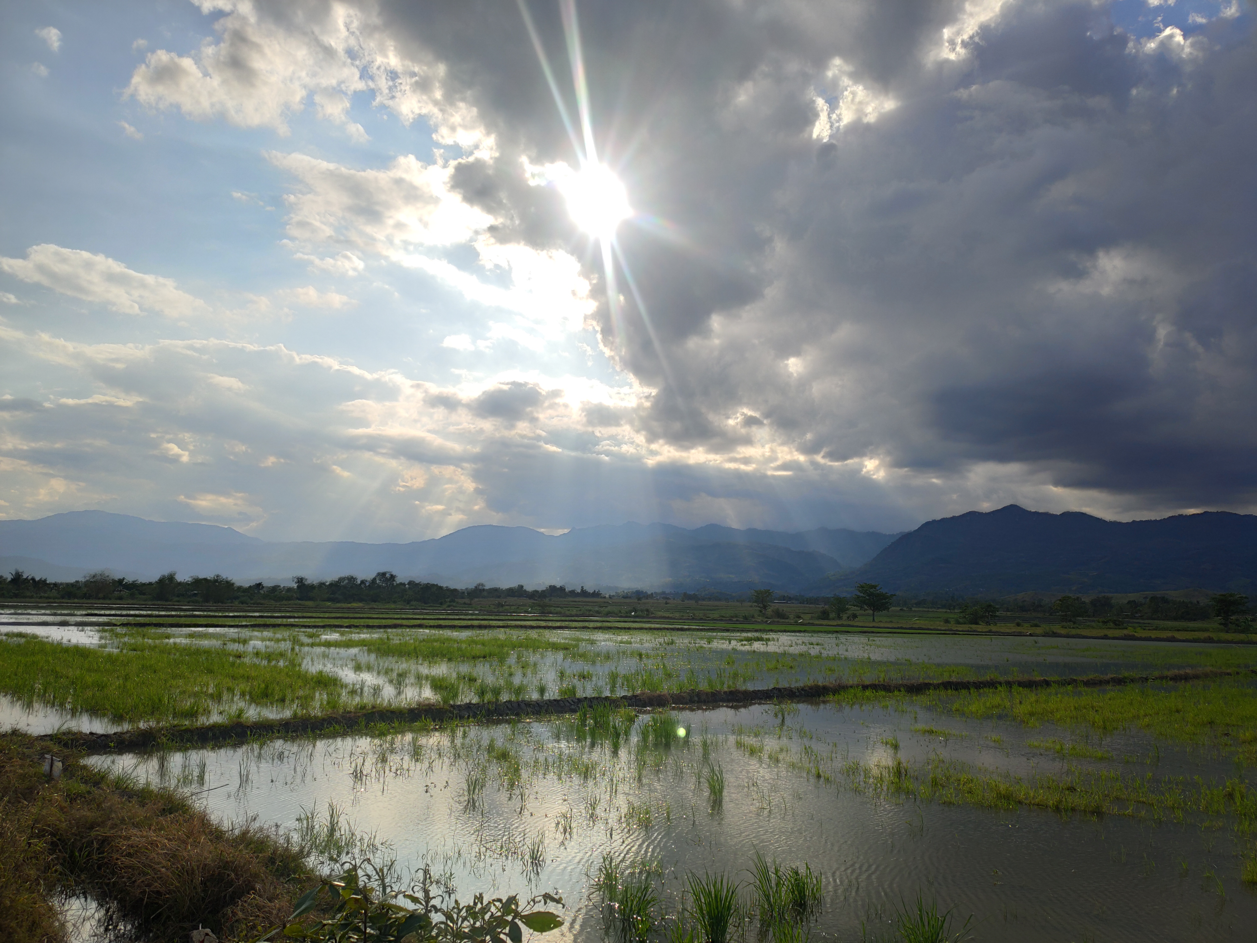 Nueva Vizcaya album cover