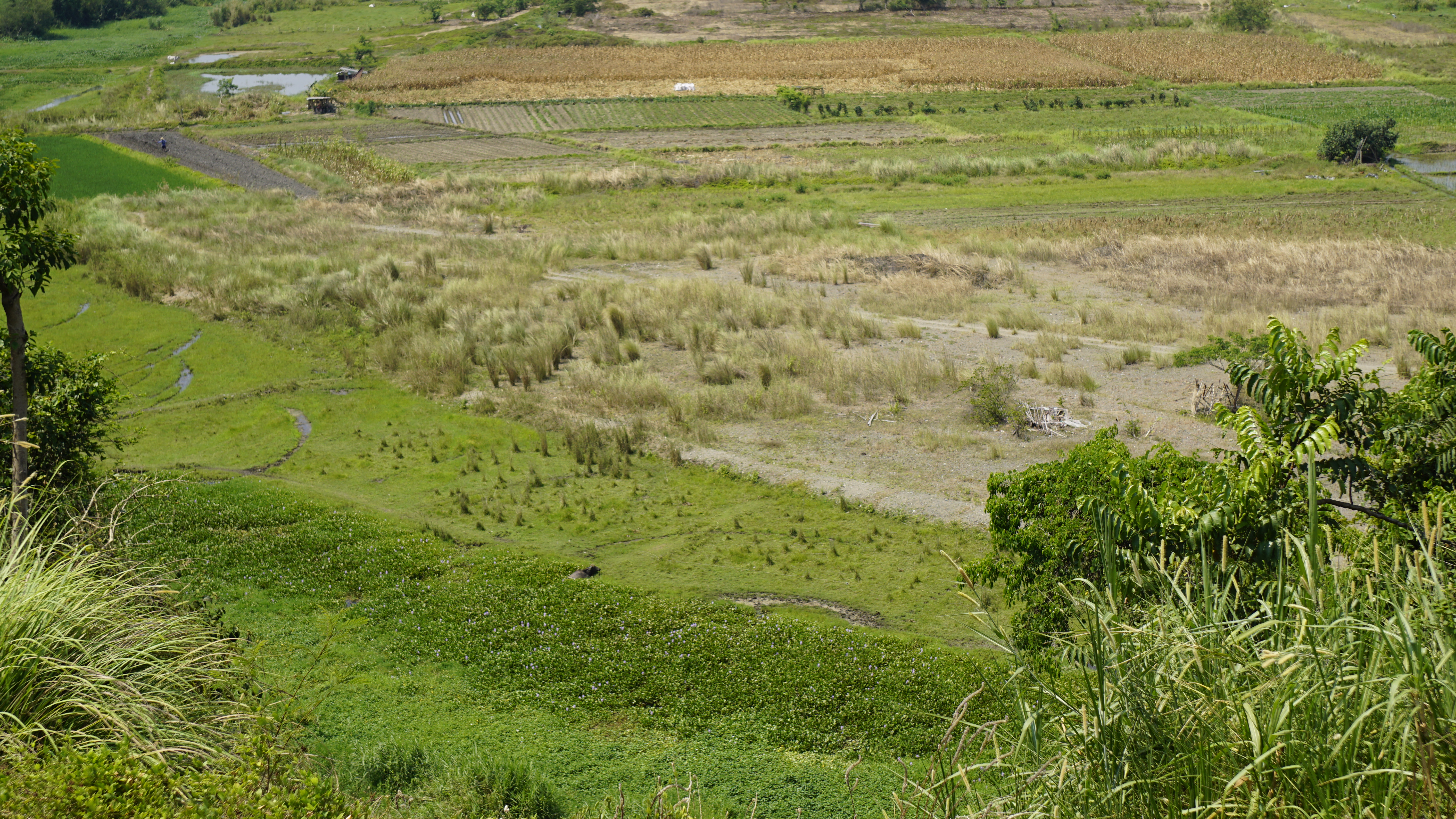 DSC3166