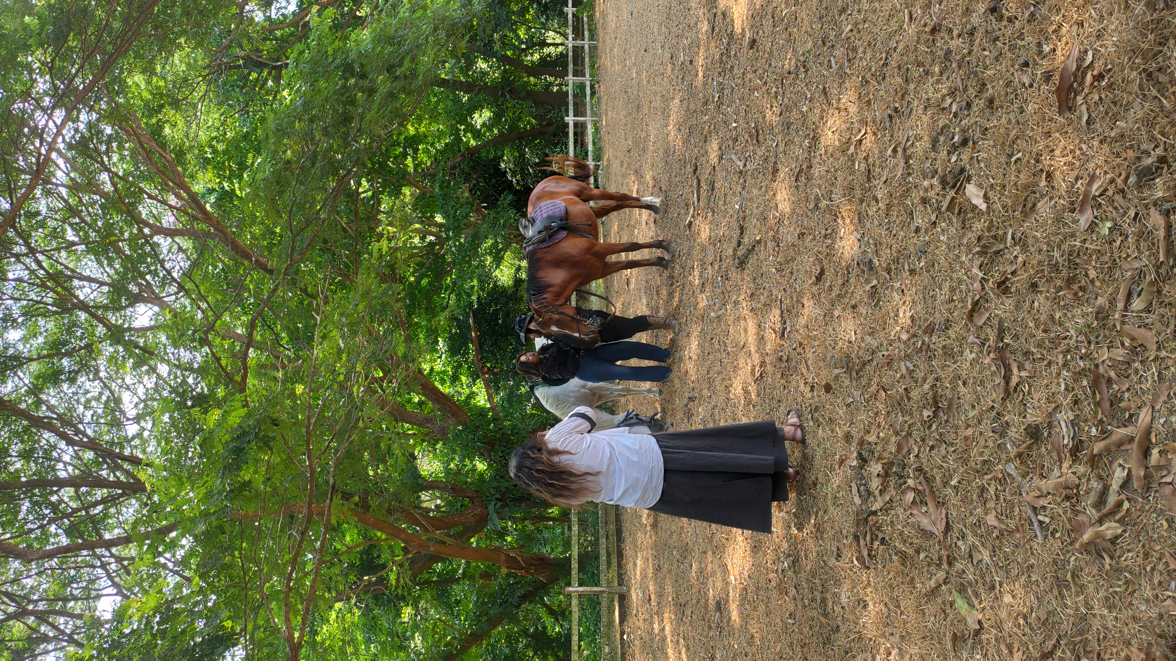 IMG 20260515 101713