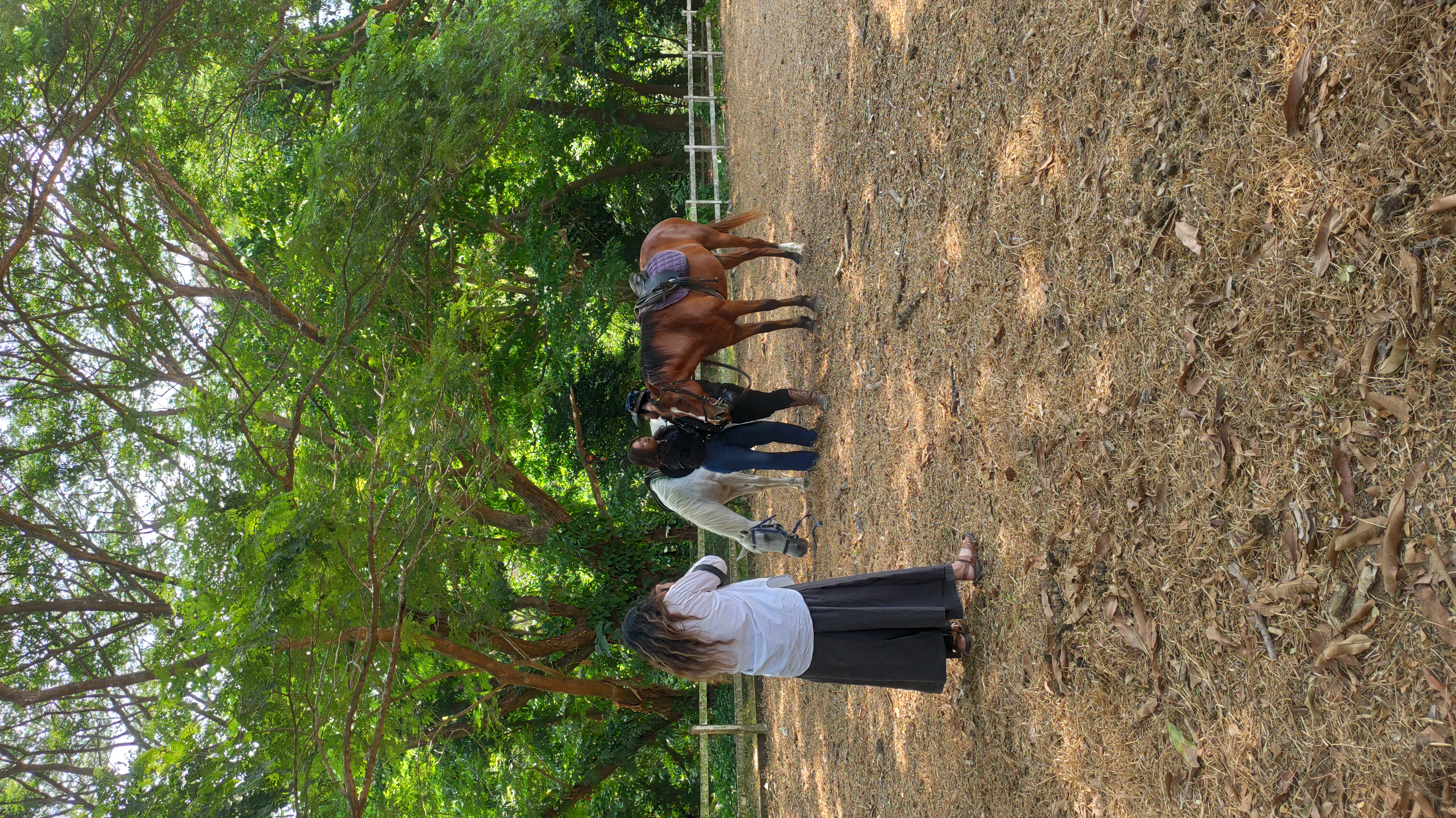 IMG 20260515 101717